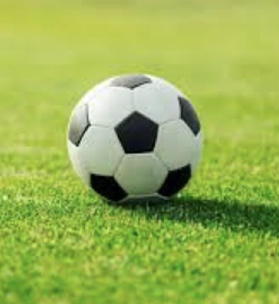 soccer ball against a green grass background 